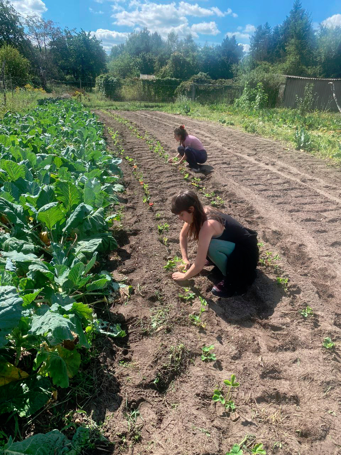 IMAGE 2025 12 04 12 55 14