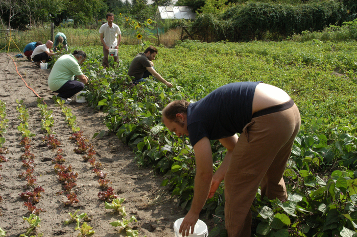 Gartenseminare mit vergünstigtem Preis in 2024 