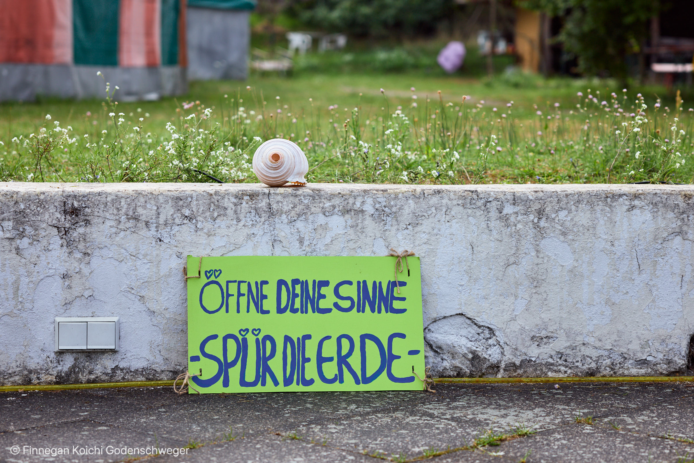 ZEGG Sommerfestival 2025 FINNEGAN KOICHI GODENSCHWEGER MedRes 187